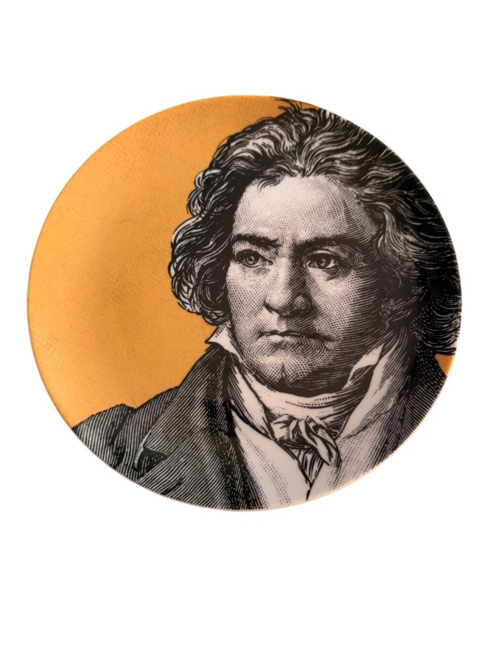 Classics Of The Arts By Vandor Beethoven Decorative Plate 1992 Japan 8" Collecto